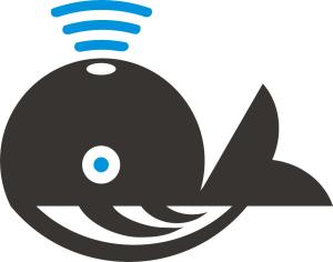 河南千魚(yú)網(wǎng)絡(luò)科技